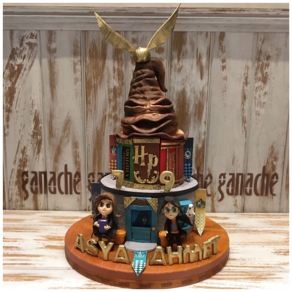 Harry Potter & Hermione