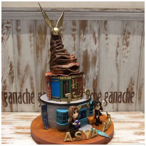 Harry Potter & Hermione