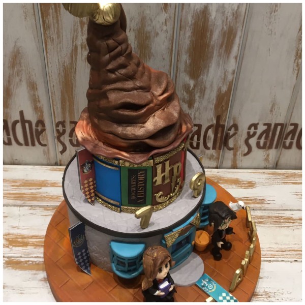 Harry Potter & Hermione