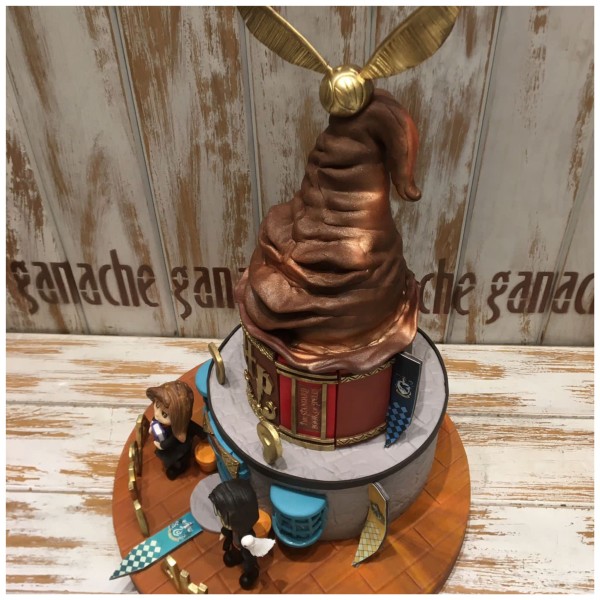 Harry Potter & Hermione