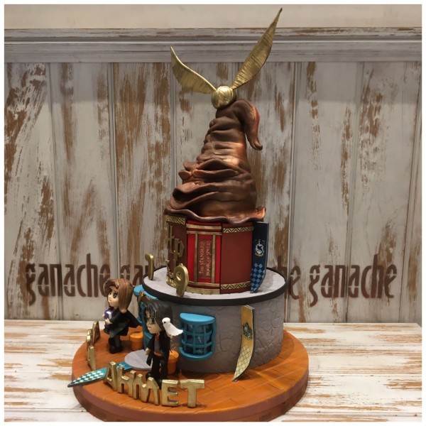 Harry Potter & Hermione