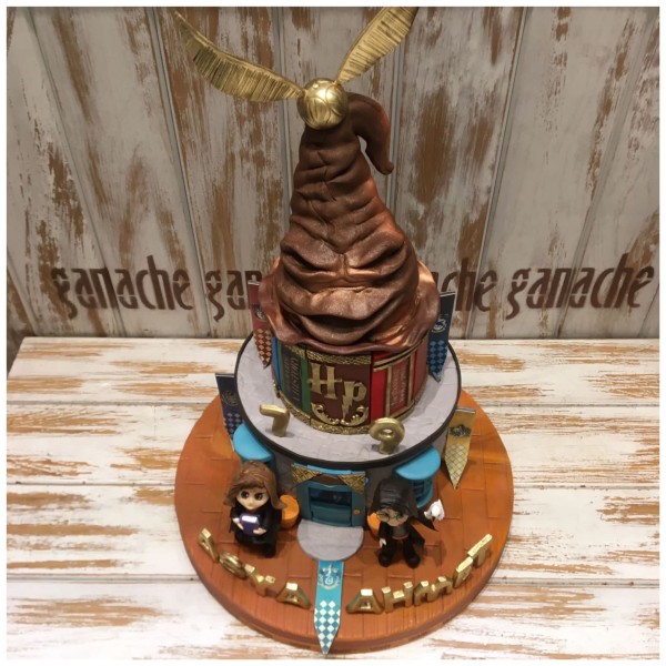 Harry Potter & Hermione