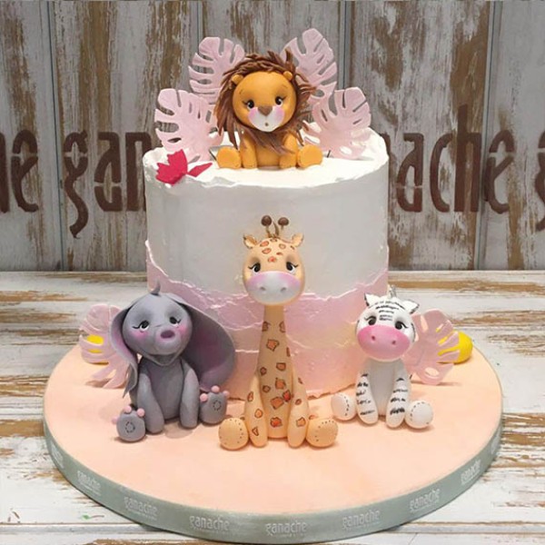 Sevimli Hayvanlar 01