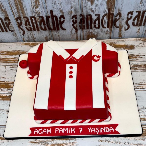 Milli Takım - Türkiye