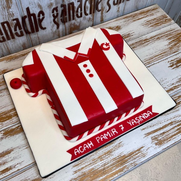 Milli Takım - Türkiye