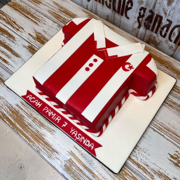 Milli Takım - Türkiye